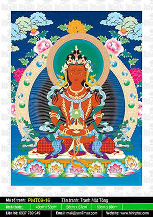 Phật Vô Lượng Thọ PMT09-16
