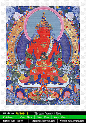 Phật Vô Lượng Thọ PMT09-19