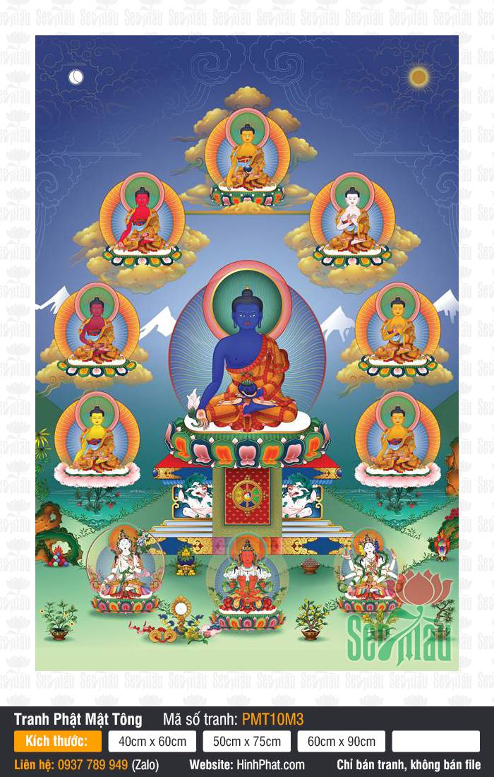 The Medicine Buddha PMT10M3 The Medicine Buddha PMT10M3 khắc họa Phật Dược Sư màu xanh lam giữa hội chúng Mật Tông