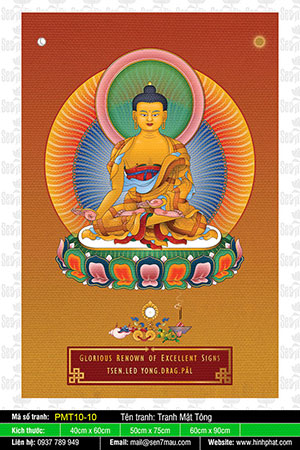 Medicine Buddha Bhaisajyaguru PMT10-10