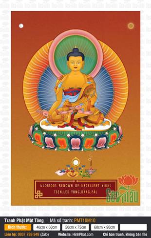 Medicine Buddha Bhaisajyaguru PMT10M10, Thân Tướng Sắc Vàng Tự Tại