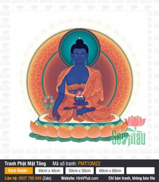 Medicine Buddha Bhaisajyaguru PMT10M22, nét vẽ Thangka sắc sảo
