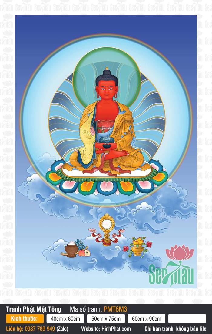 Buddha Amitabha PMT8M3 Buddha Amitabha PMT8M3 vẽ Đức Phật A Di Đà sắc da đỏ ngự đài sen