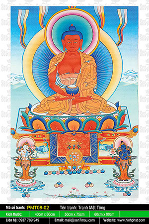 Buddha Amitabha PMT08-02