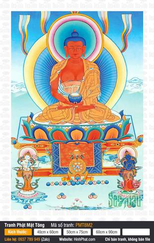 Buddha Amitabha PMT8M2, họa hình Đức Phật sắc đỏ cam trang nghiêm