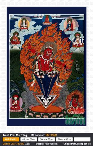 Vajra Kilaya PMT49M1