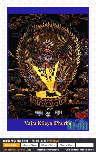 Vajra Kilaya PMT49M5