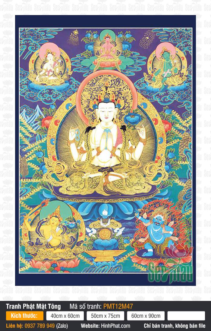 Avalokiteshvara PMT12M47 Tranh Avalokiteshvara PMT12M47 phác họa Đức Quán Thế Âm bốn tay bạch sắc ngự trên tòa sen vàng