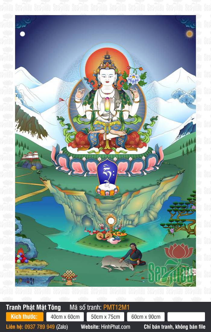 Đức Quán Thế Âm Avalokiteshvara PMT12M1 Đức Quán Thế Âm Avalokiteshvara PMT12M1 bốn tay tọa thiền trên tòa sen núi tuyết