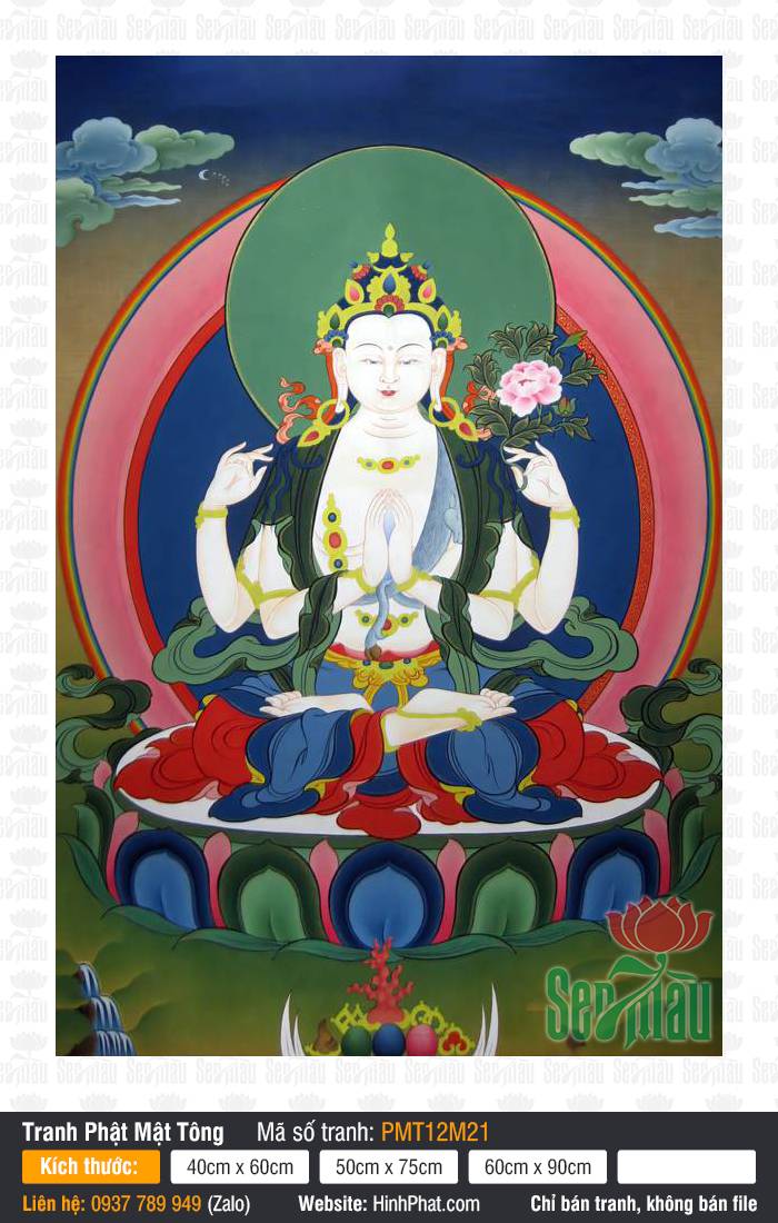 Đức Quán Thế Âm Avalokiteshvara PMT12M21 Đức Quán Thế Âm Avalokiteshvara PMT12M21 bốn tay tọa thiền nâng đóa hoa hồng rực rỡ