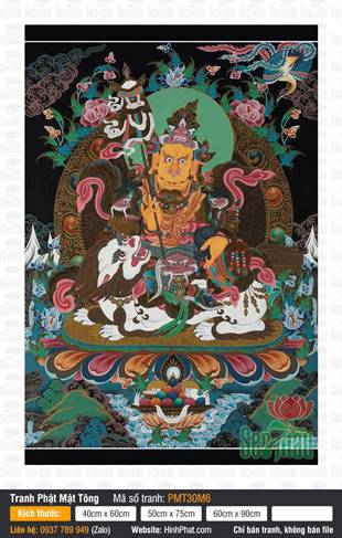 Vaishravana PMT30M6 Vaishravana PMT30M6