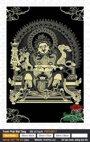 Vaishravana PMT30M17 Vaishravana PMT30M17