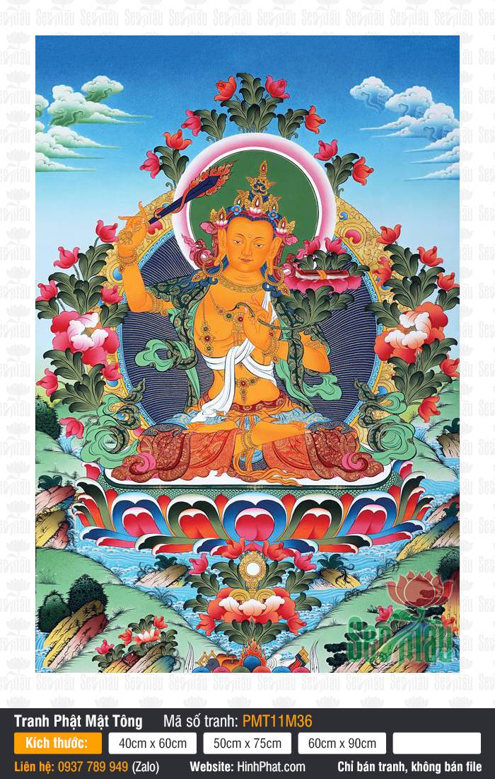 Manjushri PMT11M36 Manjushri PMT11M36 họa Đức Văn Thù Sư Lợi sắc thân vàng kim giương cao gươm báu