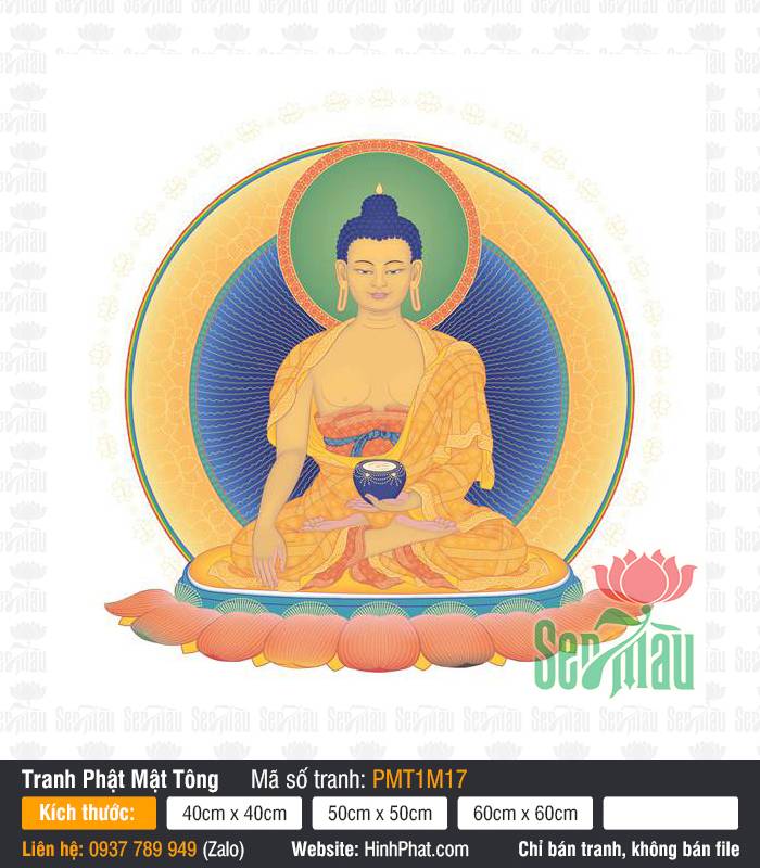 Phật Thích Ca Mâu Ni, Tranh Phật Mật Tông PMT1M17 Phật Thích Ca Mâu Ni, Tranh Phật Mật Tông PMT1M17 khoác y vàng ngự tòa sen nền trắng