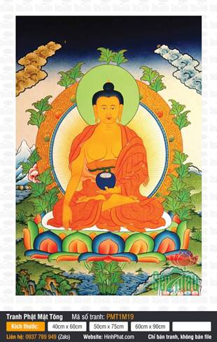 Buddha Shakyamuni PMT1M19, nét vẽ sắc sảo từ bi