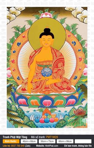 Buddha Shakyamuni PMT1M28, sắc thân vàng ngự tòa sen cổ