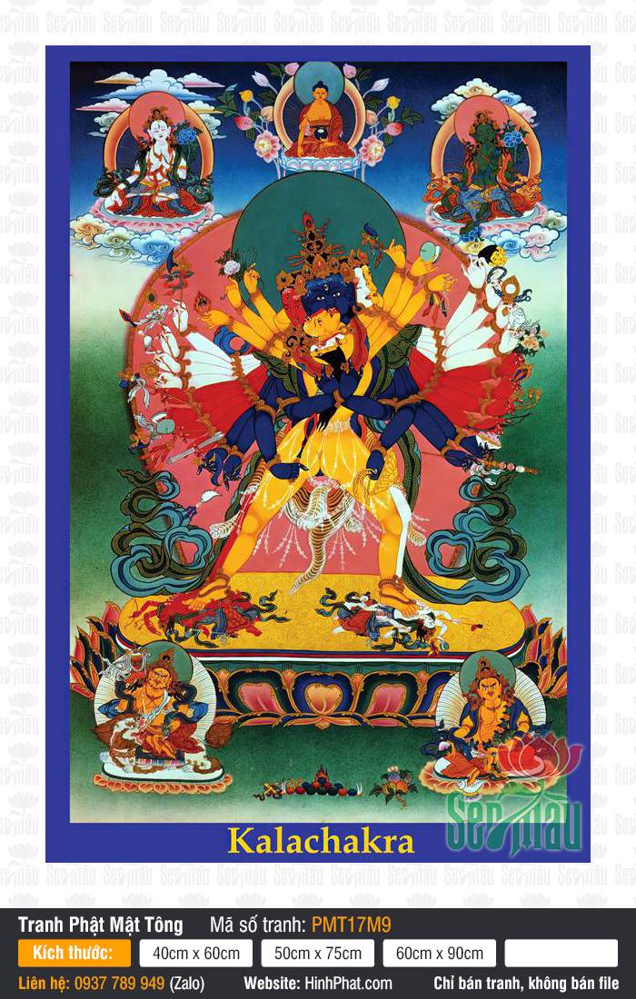 Tranh Kalachakra Thời Luân Kim Cang PMT17M9 Tranh Kalachakra Thời Luân Kim Cang PMT17M9 sắc xanh thẫm phẫn nộ với nhiều cánh tay dang rộng