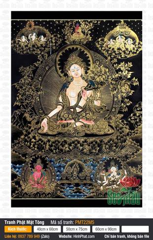 Bổn Tôn Bạch Độ Mẫu PMT22M5, nét vẽ vàng Thangka trên nền đen