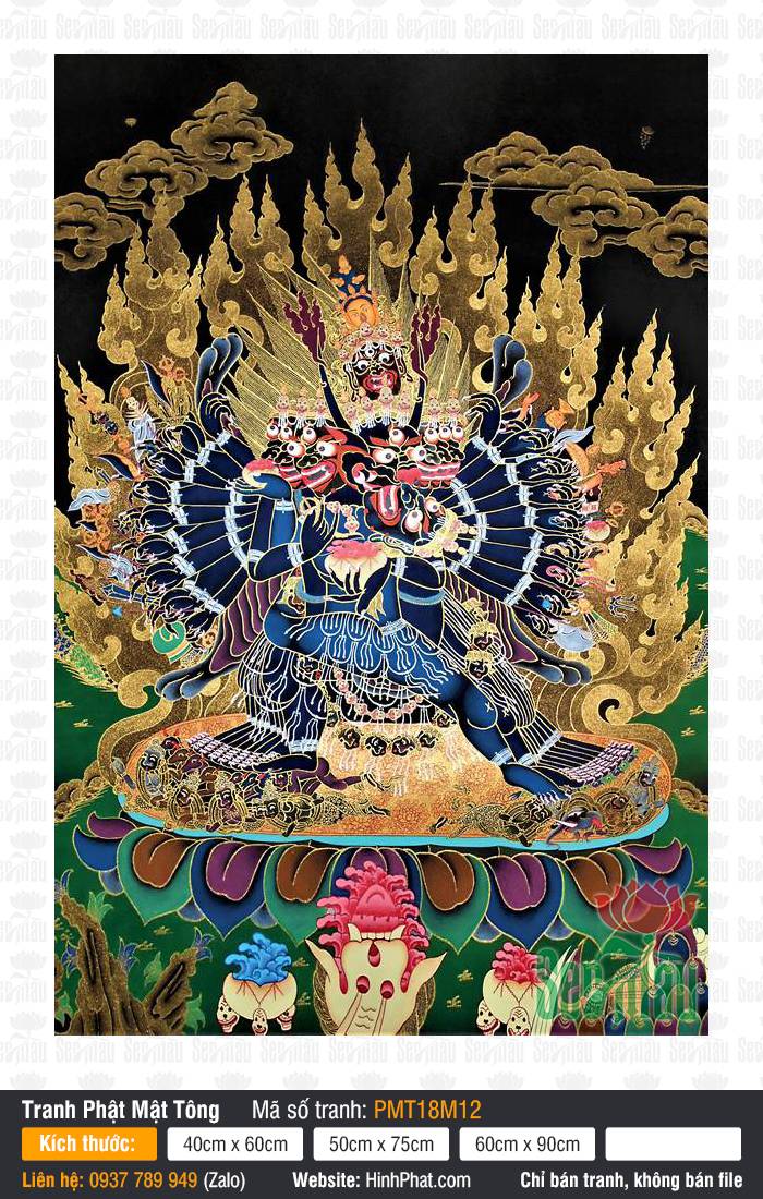 Vajrabhairava PMT18M12 Vajrabhairava PMT18M12 phác họa Bản tôn diện trâu phẫn nộ với hào quang lửa vàng