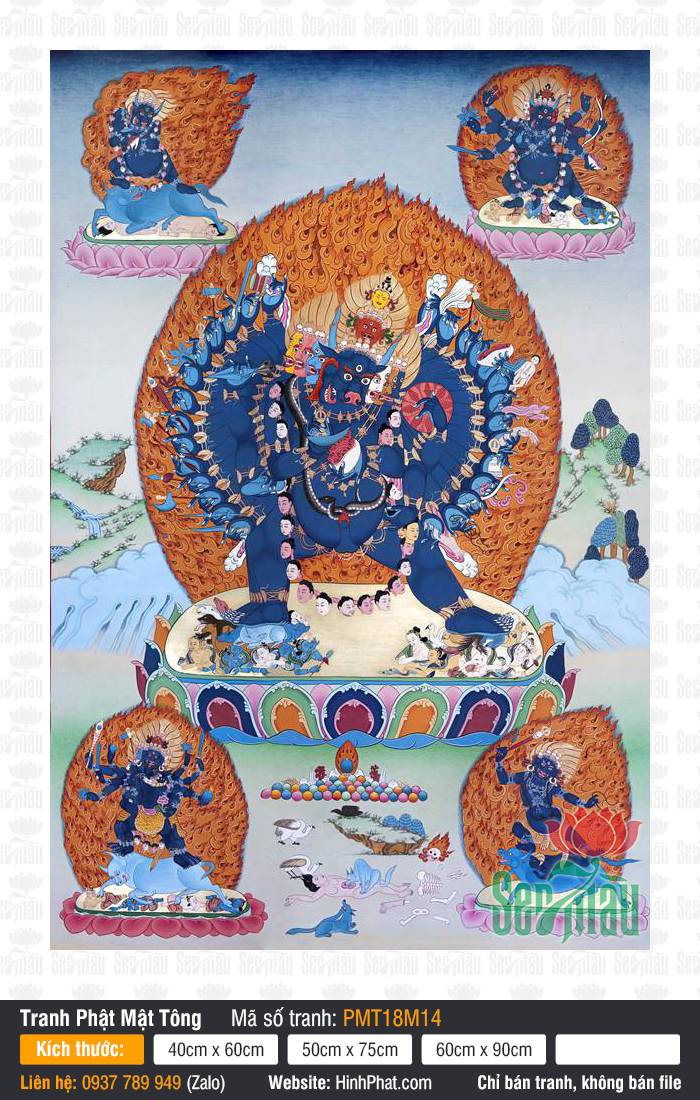 Vajrabhairava PMT18M14 Chi tiết Vajrabhairava PMT18M14 diện ngưu đầu thân xanh đứng giữa vòng lửa hộ pháp Thangka