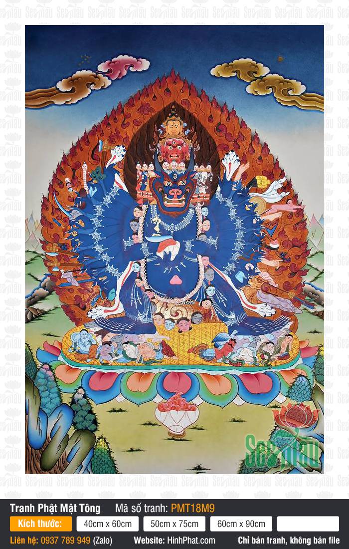 Yamantaka PMT18M9 Bức Yamantaka PMT18M9 phác họa thần tướng diện ngưu phẫn nộ sắc xanh oai nghiêm