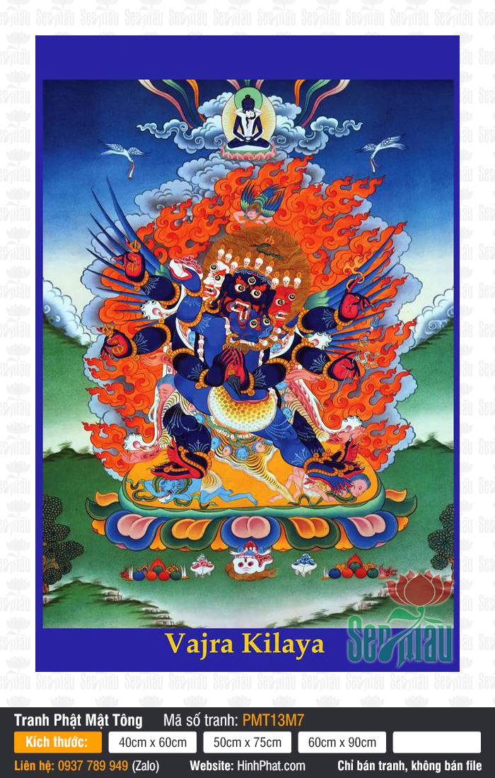 Vajrakilaya PMT13M7 Tranh Vajrakilaya sắc thân xanh lam sẫm phẫn nộ diện tỏa hào quang lửa cam