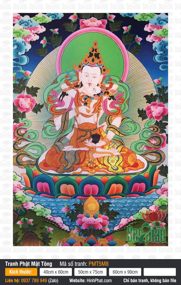 Kim Cương Tát Đoả PMT5M8 Kim Cương Tát Đoả PMT5M8 sắc thân trắng thanh tịnh tỏa hào quang xanh rực rỡ