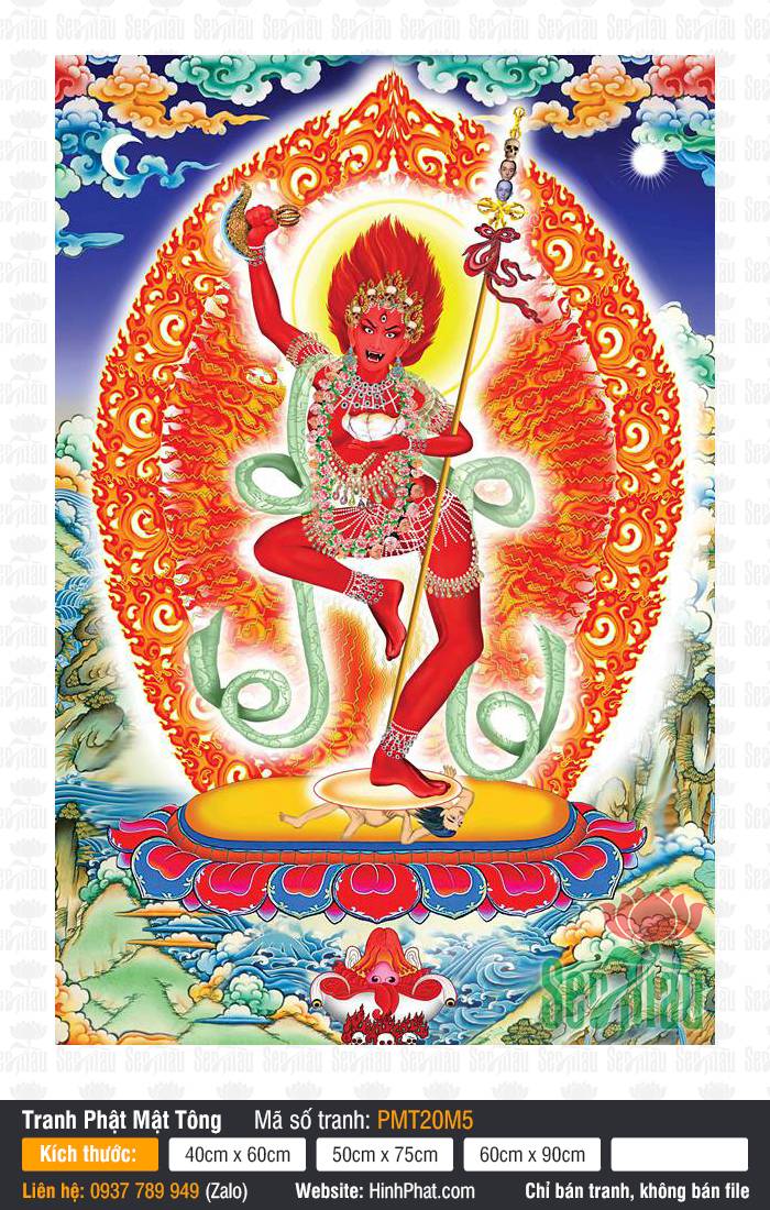 Vajravarahi PMT20M5 Vajravarahi PMT20M5 khắc họa Kim Cương Hợi Mẫu màu đỏ đứng trên tòa sen