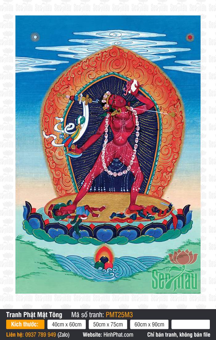 Vajrayogini PMT25M3 Vajrayogini PMT25M3 phác họa hình ảnh Thánh Nữ sắc đỏ uy nghiêm trên tòa sen