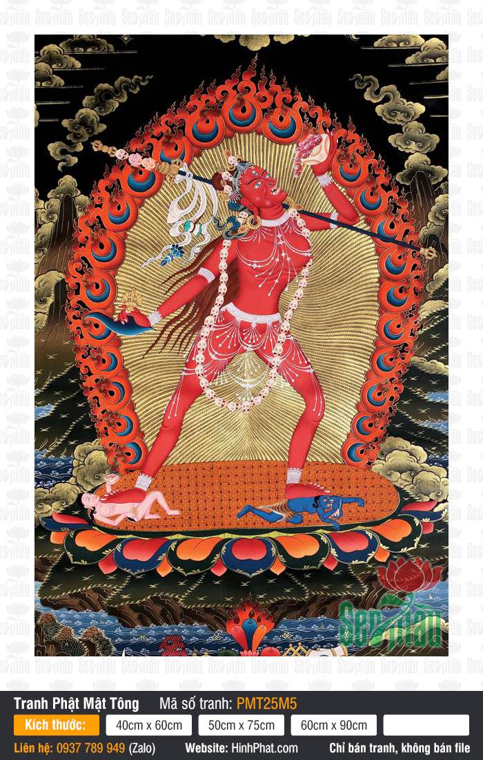 Vajrayogini PMT25M5 Vajrayogini PMT25M5 thân hành màu đỏ đứng trên đài sen nền hào quang lửa