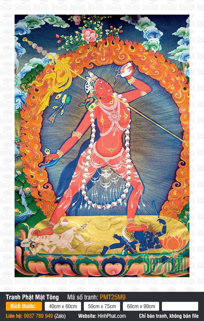 Vajrayogini PMT25M9 Tranh Vajrayogini PMT25M9 khắc họa vị Phật Mẫu sắc đỏ rực rỡ đứng trên đài sen